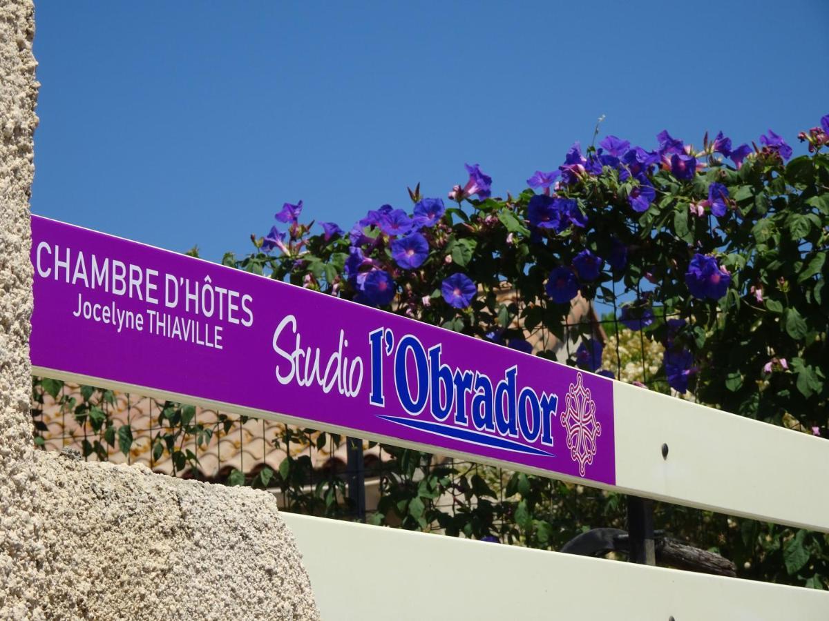 Studio L'Obrador 25 M2 - Cuisine & Terrasse - Acces Piscine Rieux-Minervois Экстерьер фото